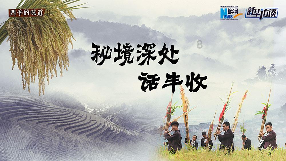 小猫钓鱼正版下载中文版