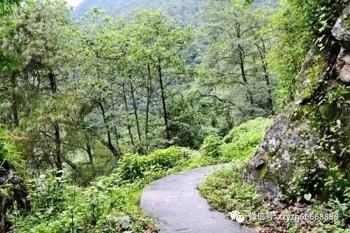 脑洞小老弟无实名认证